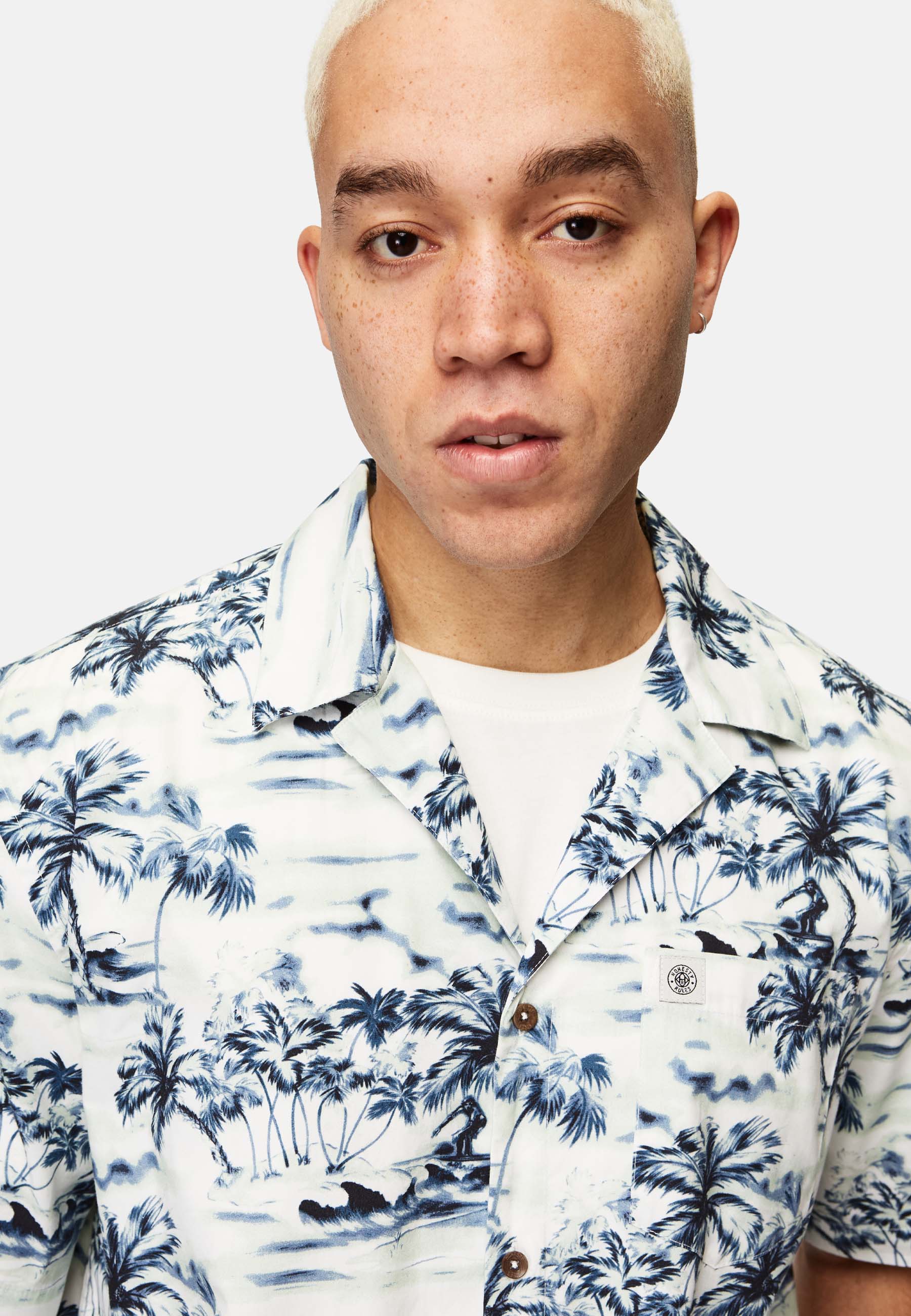 Hawaii Shirt